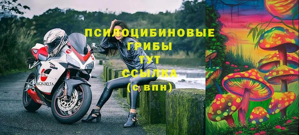 гидропоника Горняк