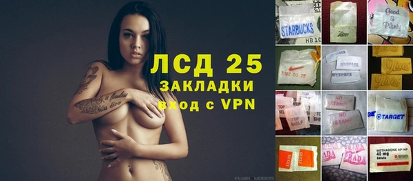 спайс Гусь-Хрустальный