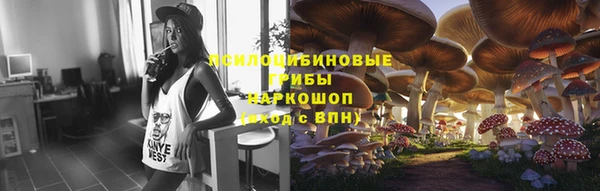 мдпв Горно-Алтайск