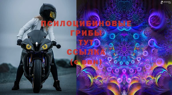 спайс Гусь-Хрустальный
