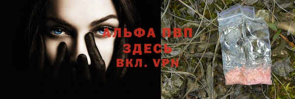 мдпв Горно-Алтайск