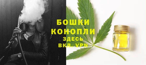 мдпв Горно-Алтайск