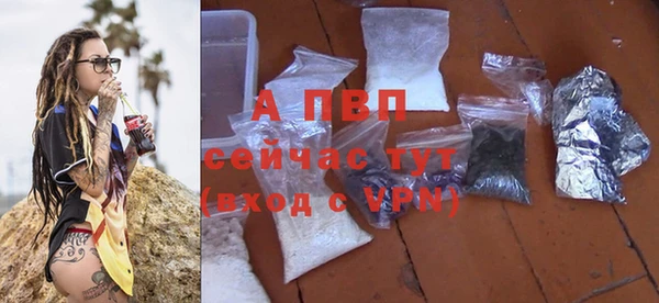дживик Гусев