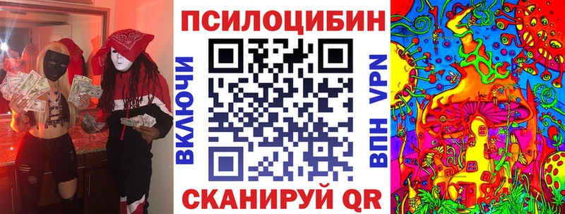 Купить закладки  Конаково  Псилоцибиновые грибы мухоморы 